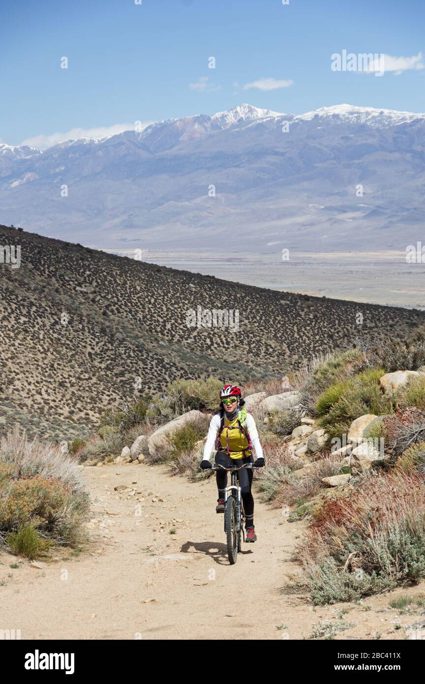 Frau Mountainbikerin, die mit dem White Mountain hinter ihr auf einer Feldstraße in den Bergen unterwegs ist Stockfoto