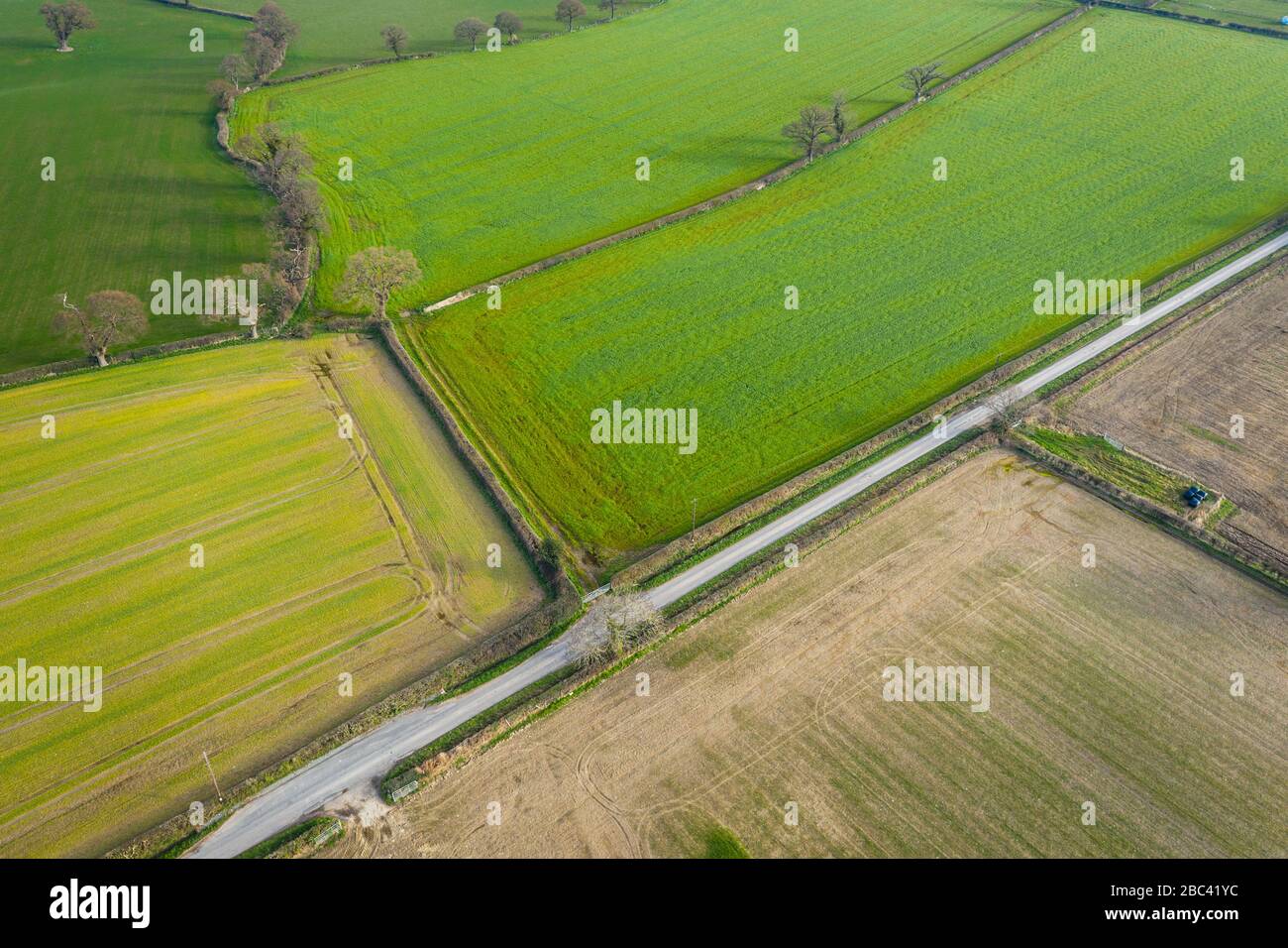 Frische grüne Bauernfelder von Shropshire in Großbritannien - Drohnenblick Stockfoto