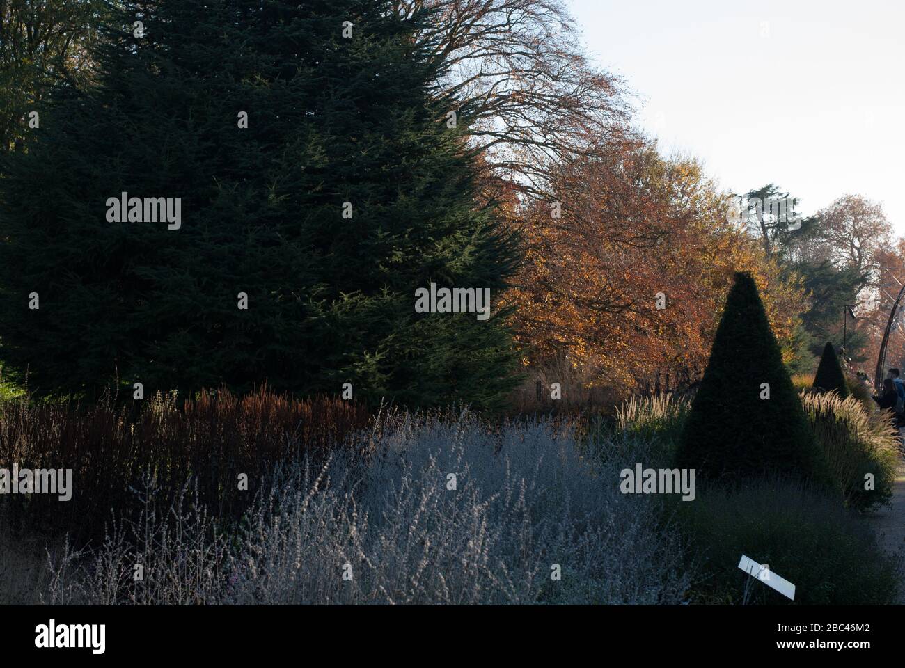 Broad Walk grenzt an Royal Botanical Gardens Kew Gardens, Richmond, London, TW9 3AE Stockfoto