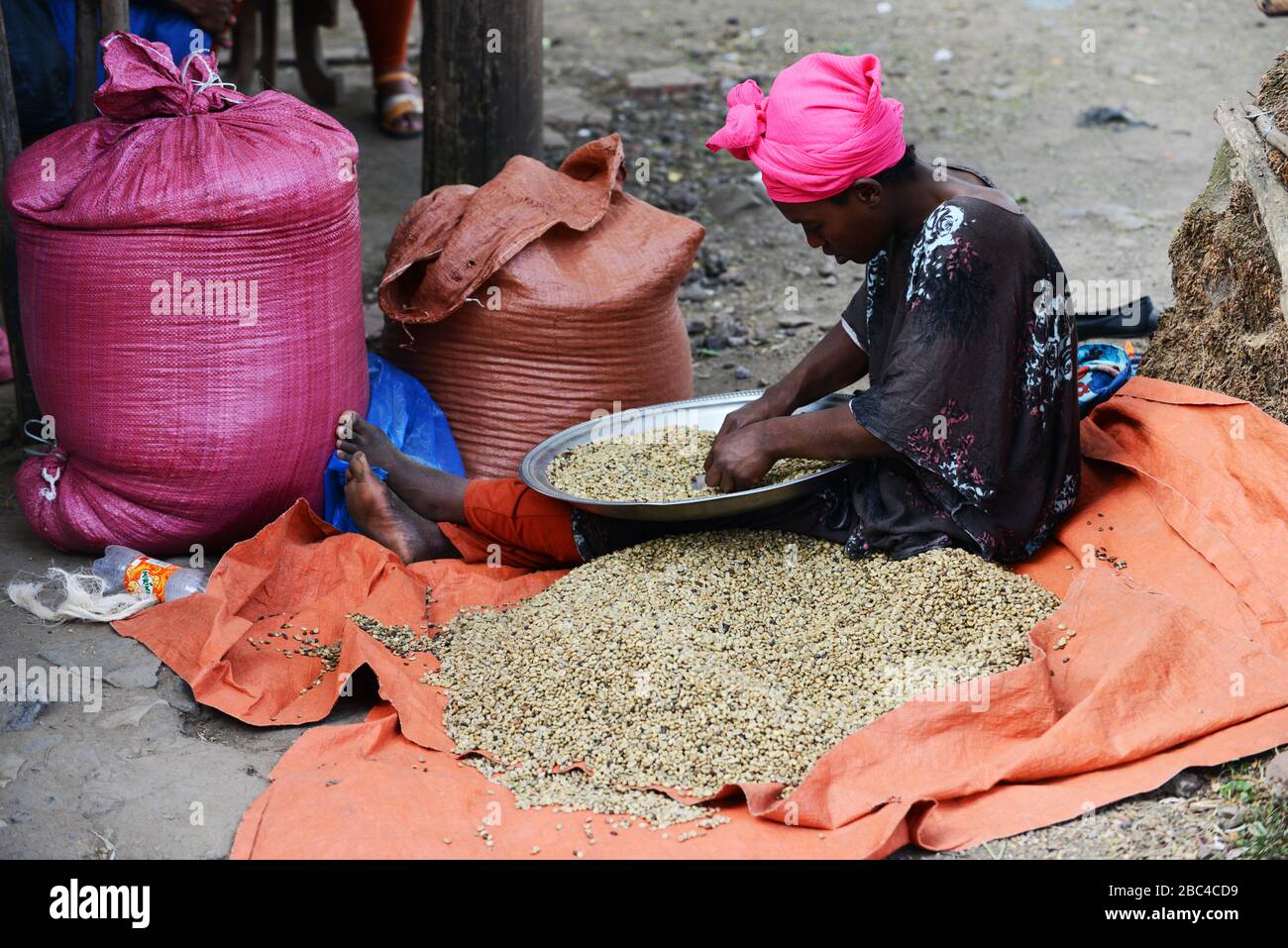 Eine äthiopische Frau, die Kaffeebohnen in der Region Oromia in Äthiopien sortiert. Stockfoto