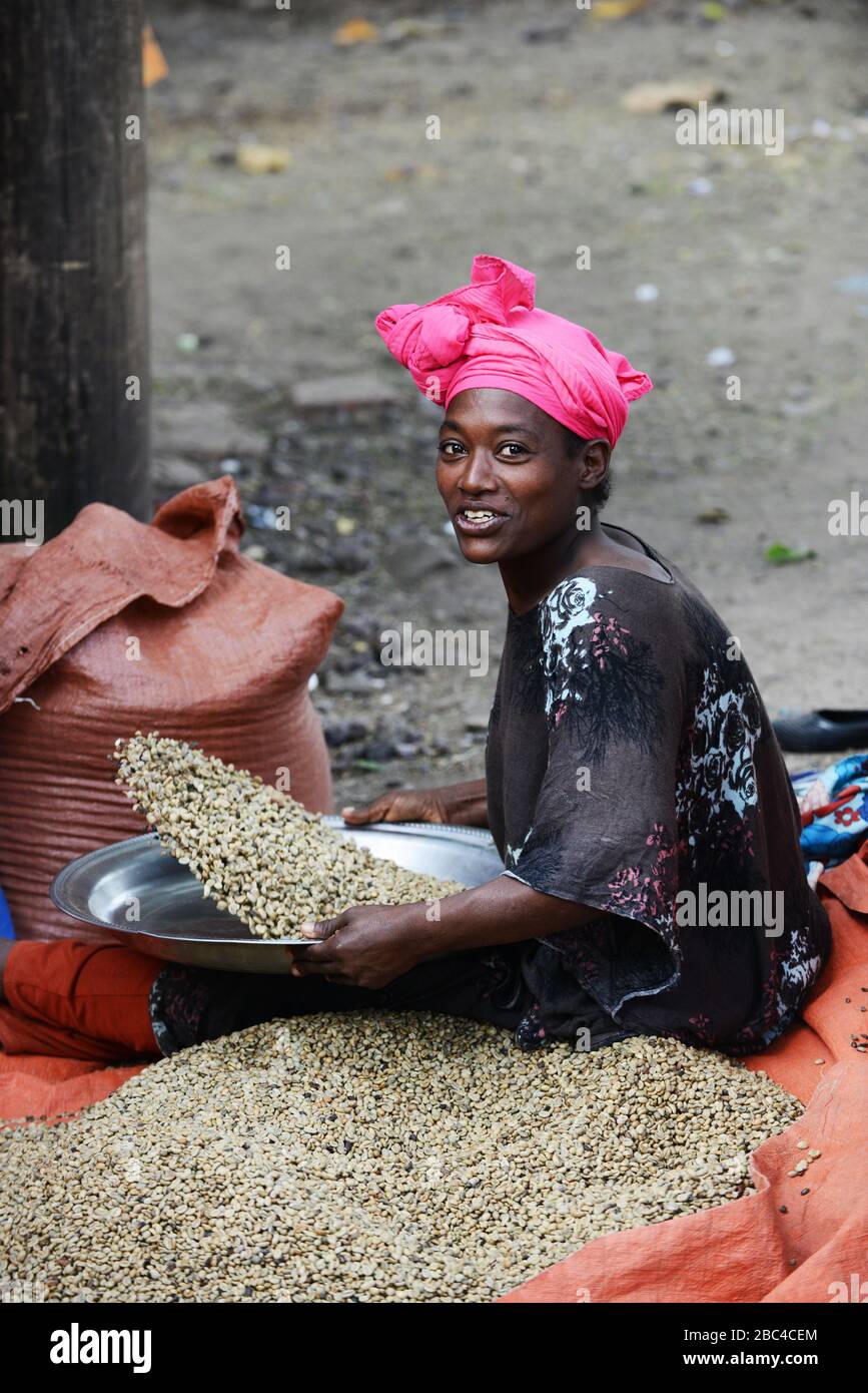 Eine äthiopische Frau, die Kaffeebohnen in der Region Oromia in Äthiopien sortiert. Stockfoto