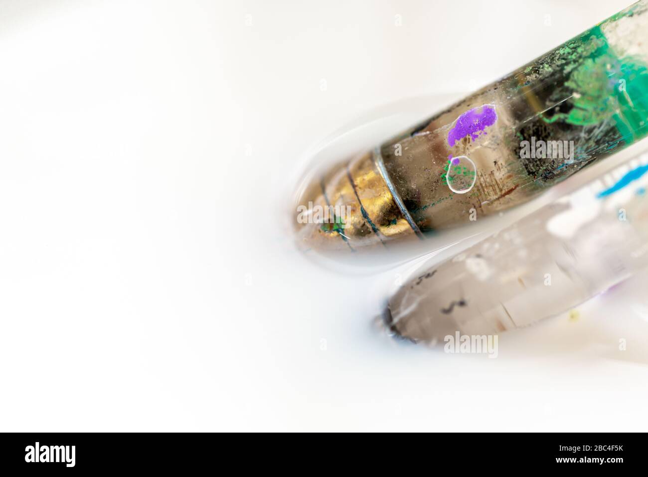 Zwei Malpinsel des Künstlers in weißem Wasser Stockfoto