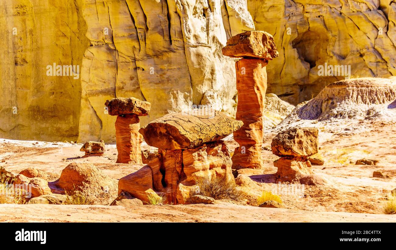 Toadstool Hoodoos vor dem Hintergrund der bunten Sandstein-Berge auf dem Toadstool Wanderpfad im Grand Staircase-Escalante Monument USA Stockfoto