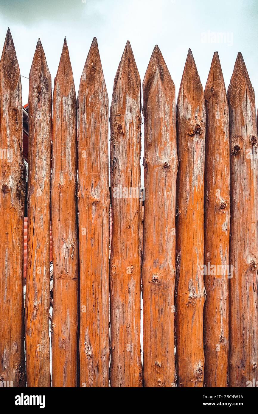 Scharfe Spitzen an einem Holzzaun. Struktur von Holzstämmen. Stockfoto