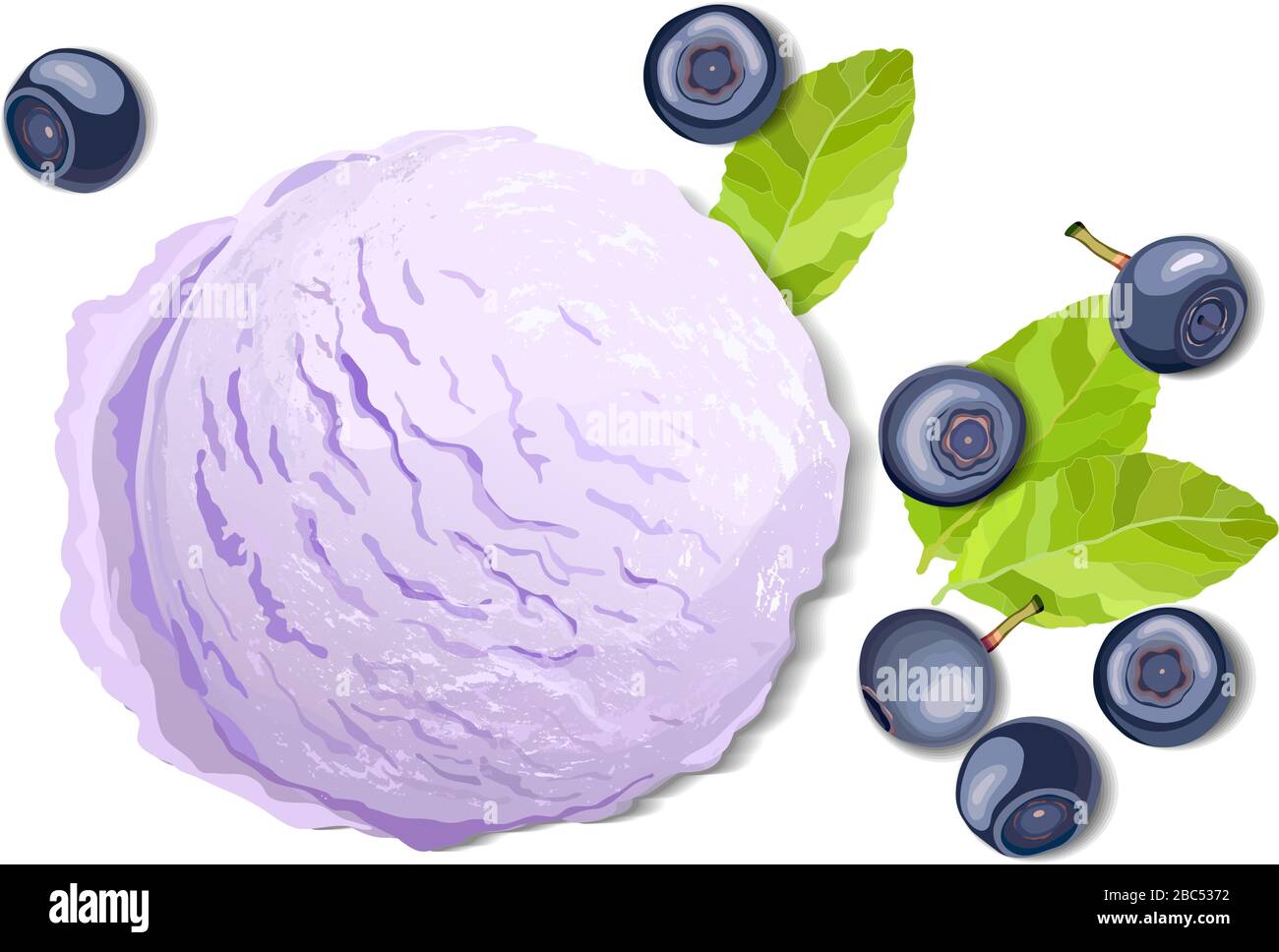 Violettes Eis mit auf weißem Hintergrund isolierten Blaubeerblättern und Beeren, Vektor-Darstellung von oben Stock Vektor