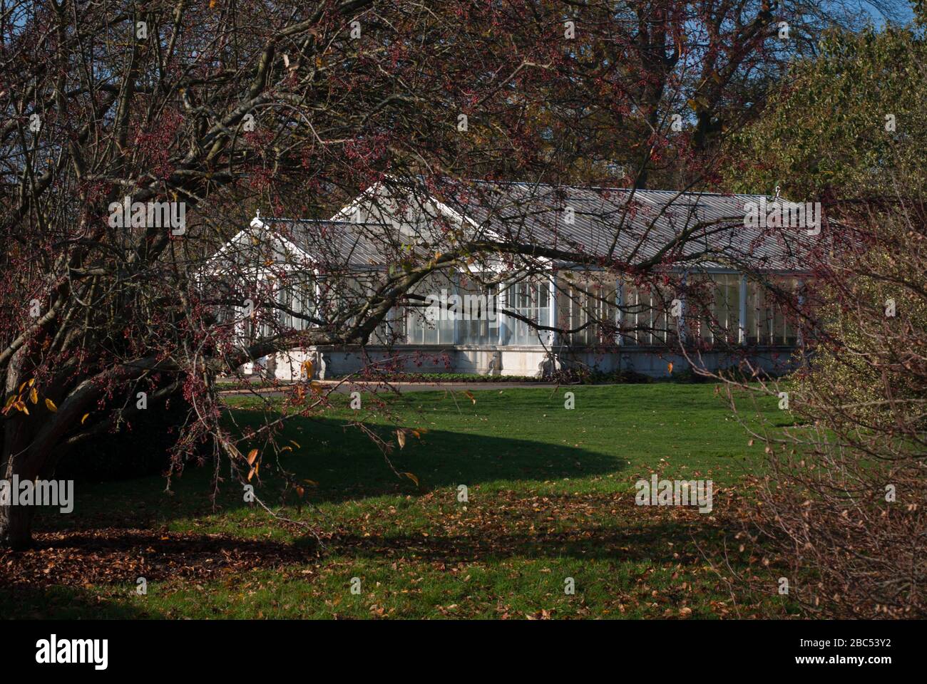 Gewächshaus Gewächshaus Gewächshaus Architektur Royal Botanic Gardens Kew Gardens, Richmond, London, TW9 3AE Stockfoto