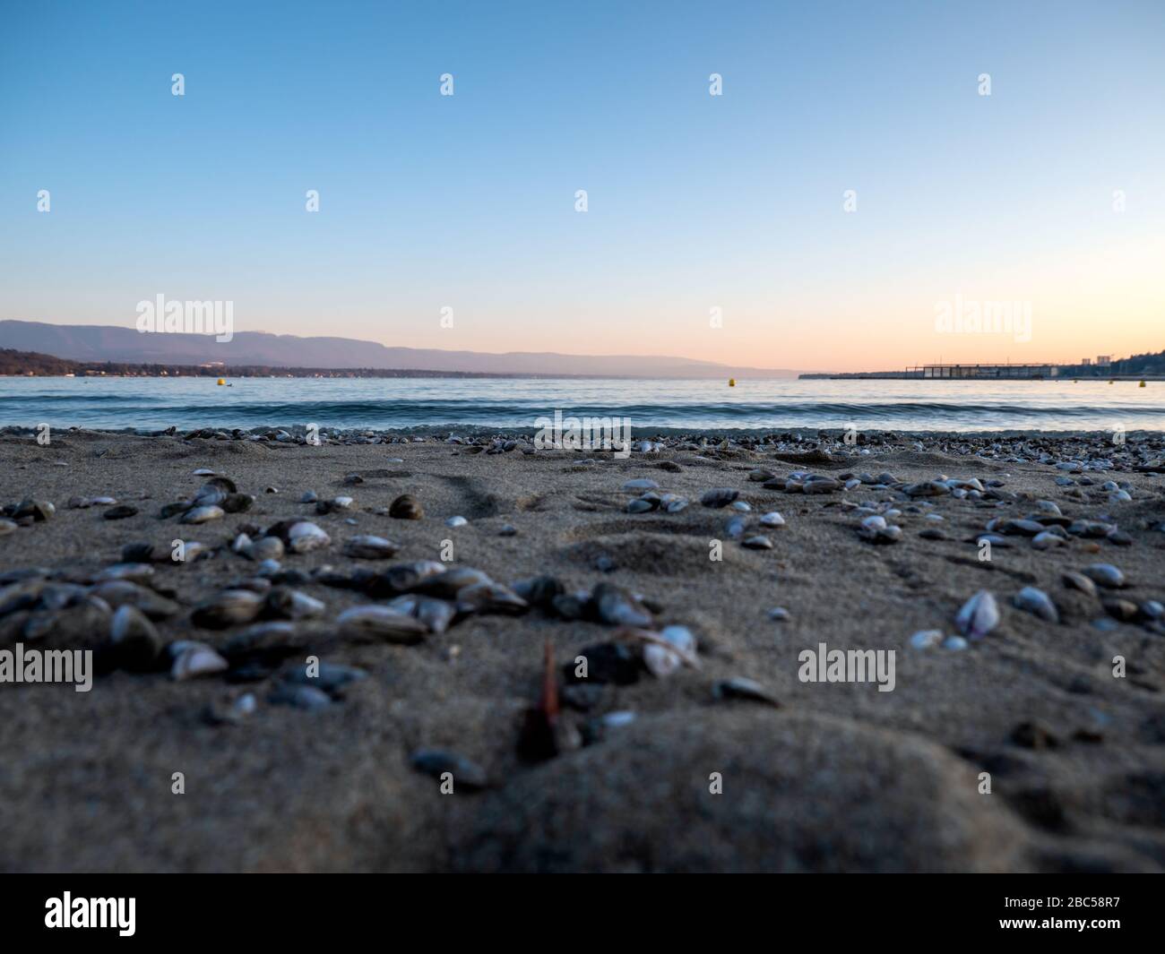 Nahaufnahme des Strandes von einem kalten Süßwassersee und einer Küstenlinie mit kleinen Süßwassermuscheln und Sand im Vordergrund an einem kalten sonnenbeleuchteten Morgen. Stockfoto