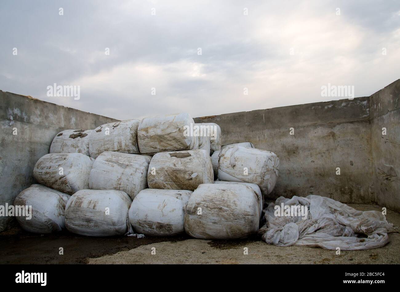 Silage bagelt in Lagerung in einer Milchfarm in Nowshra, Pakistan. Stockfoto