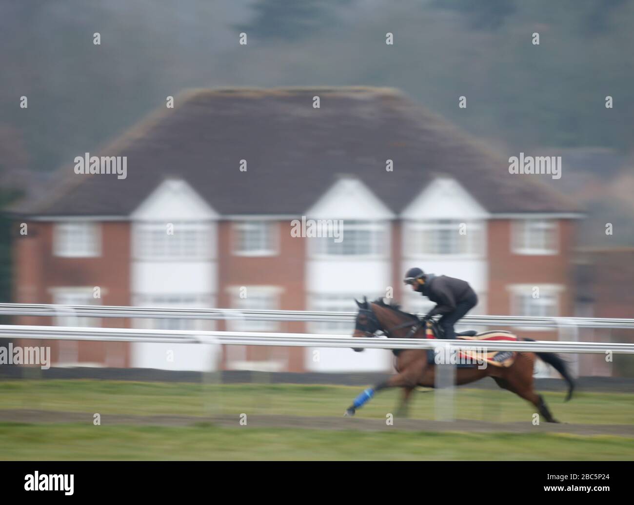 Rennen Sie Pferde auf den Galoppen in Newmarket, Suffolk während der Coronavirus-Sperre aus Stockfoto