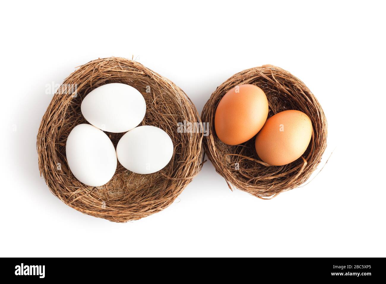 Zwei Nester mit weißen und braunen Eiern auf weißem Grund, isoliert auf weißem Stockfoto