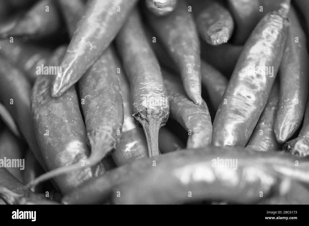 Frisches Gemüse - Paprika Nahaufnahme auf dem lokalen italienischen Markt Stockfoto