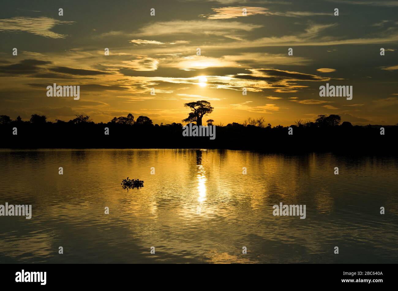 Sonnenuntergang Shire River Malawi Liwonde National Park Afrika Stockfoto