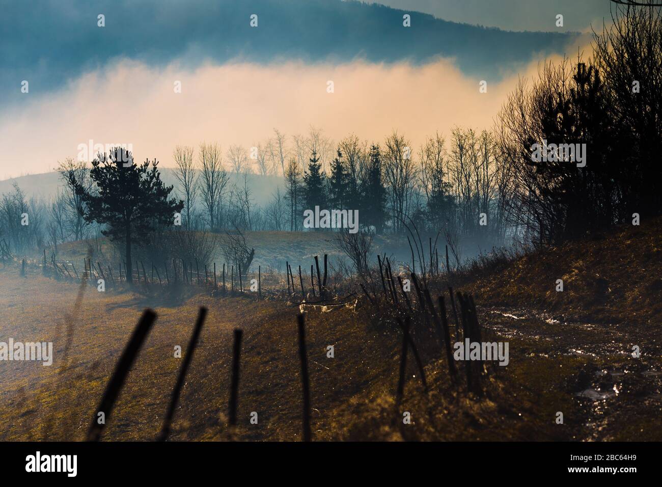 Neblige Landschaft, Straße und nahe gelegener Wald in hasiger Atmosphäre Stockfoto