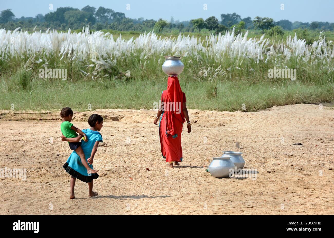 Die Mutter, die Trinkwasser aus der Ferne mit ihren Kindern von Saccharin spontan oder Kans Gras lokal als Kash Flowe in Indien bekannt. Stockfoto