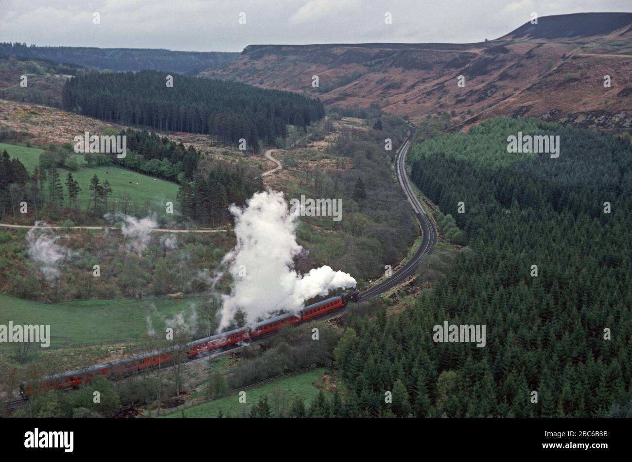Dampfeisenbahn North Yorkshire Moors Railway in der Newtondale Gorge, North Yorkshire, England Stockfoto
