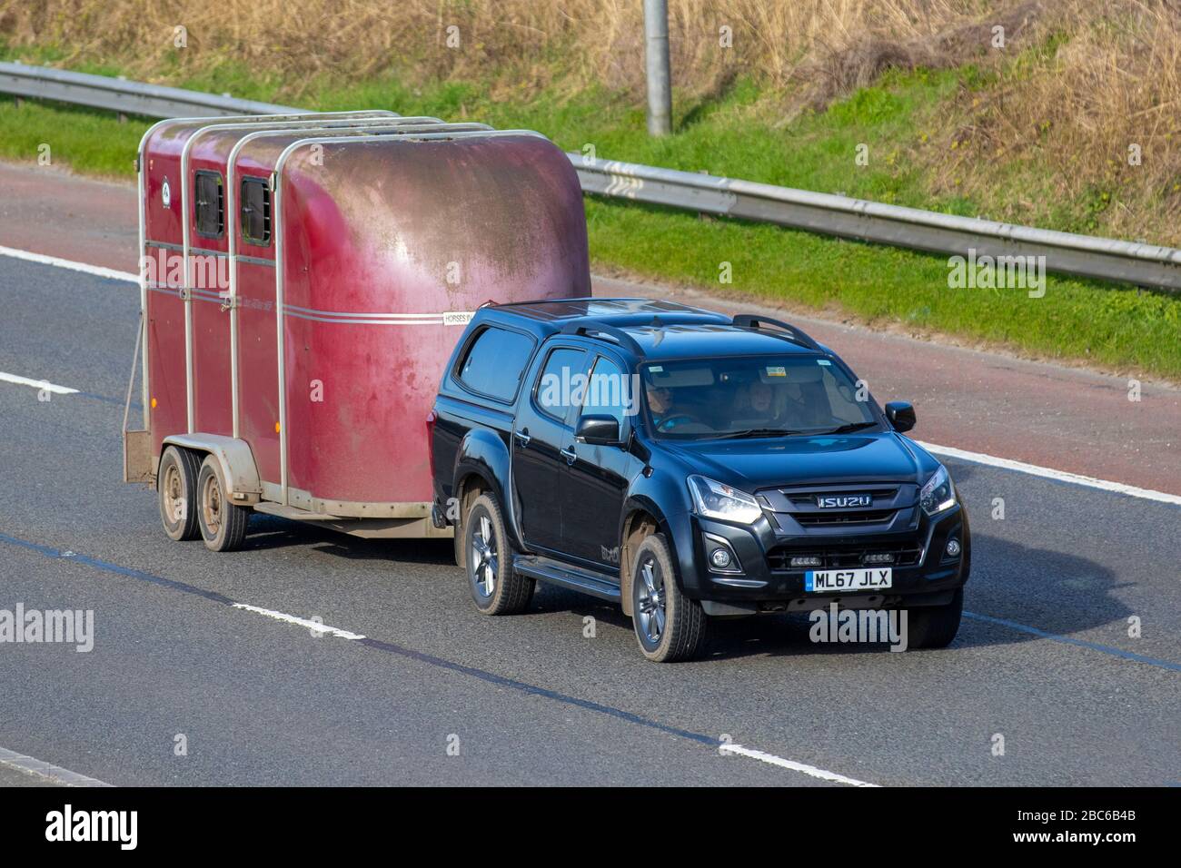 2016 Isuzu D-max Blade; Abschleppen von rotem Einzelwagen; Transport von Tieren auf dem Zug, auf der Autobahn M6, Lancashire, Großbritannien Stockfoto