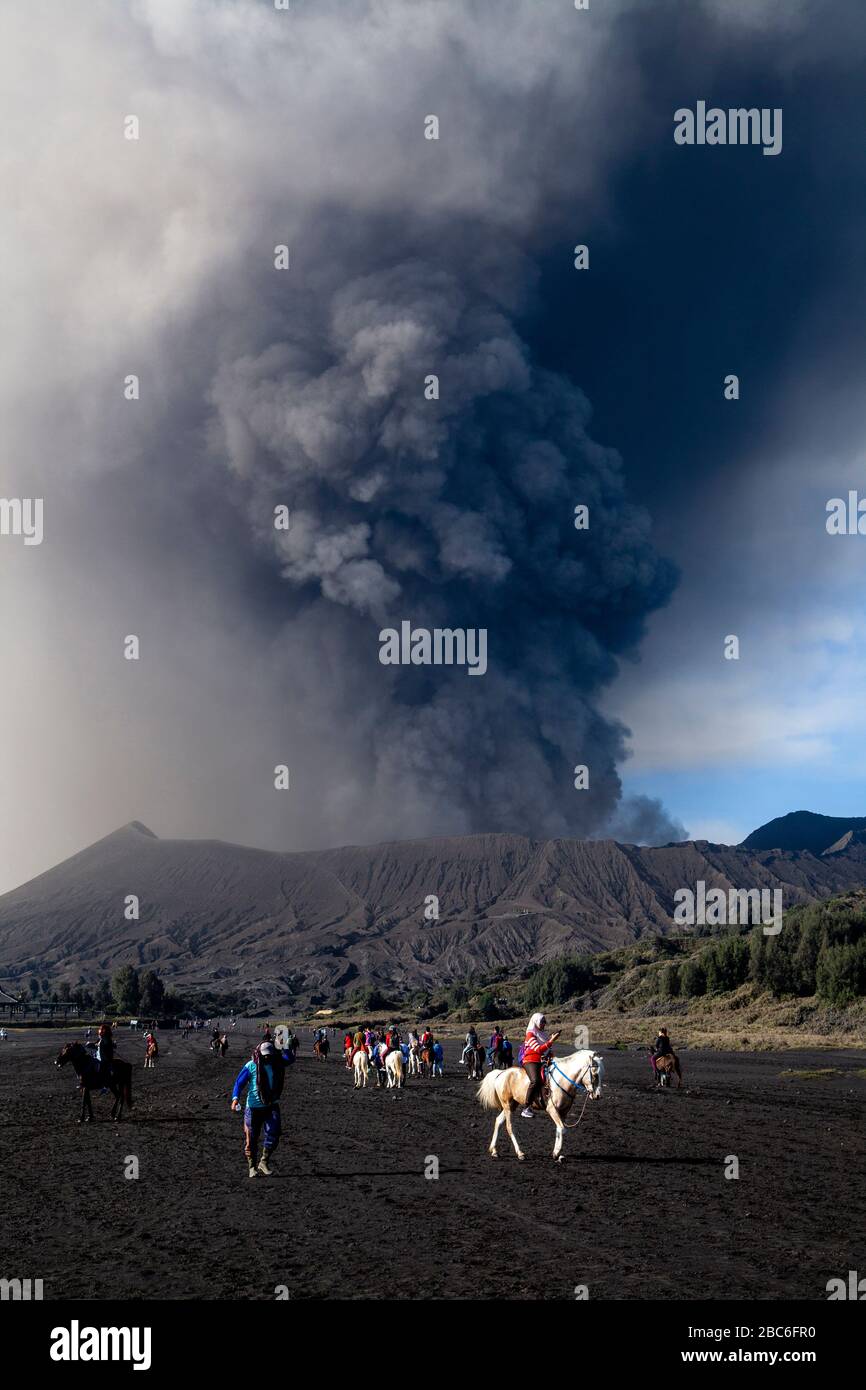 Mount Bromo (ausbrechend) und das Meer des Sandes, Bromo Tengger Semeru National Park, Java, Indonesien. Stockfoto