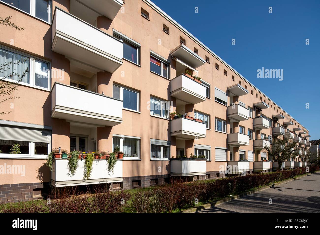 Frankfurt am Main, Siedlung Lindenbaum, Planung 1930 von Walter Gropius, Typische Häuserzeile Stockfoto