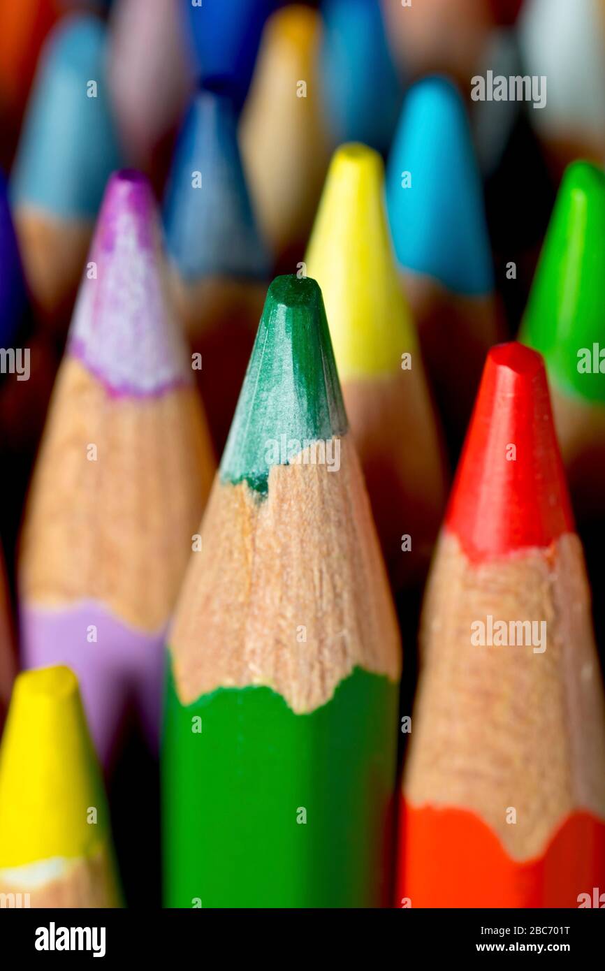Nahaufnahme der farbigen Spitzen einer Reihe von Farbstiften mit geringer Schärfentiefe. Stockfoto