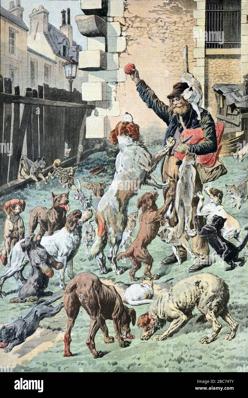 Tramp, Vagant oder Obdachloser füttern ein Pack von Feral Hunden oder Wild Hunden in Frankreich. Vintage-Illustration oder Gravur November 1910 Stockfoto