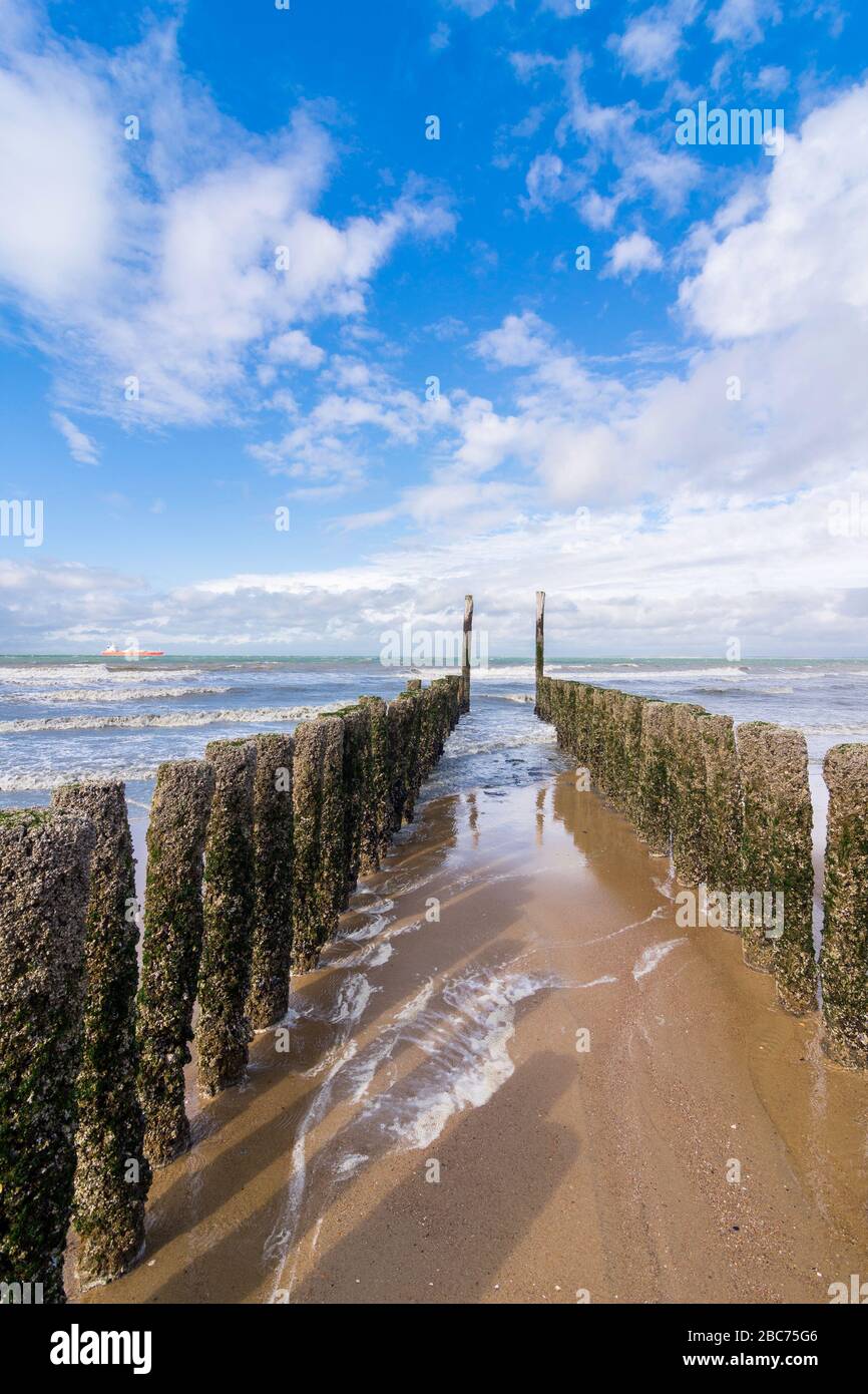 Groynes (Buhnen) - Stangen, die Stück für Stück ins Meer laufen, um den Strand zu schützen. Blick auf den trüb blauen Himmel am Horizont. niederlande in Stockfoto