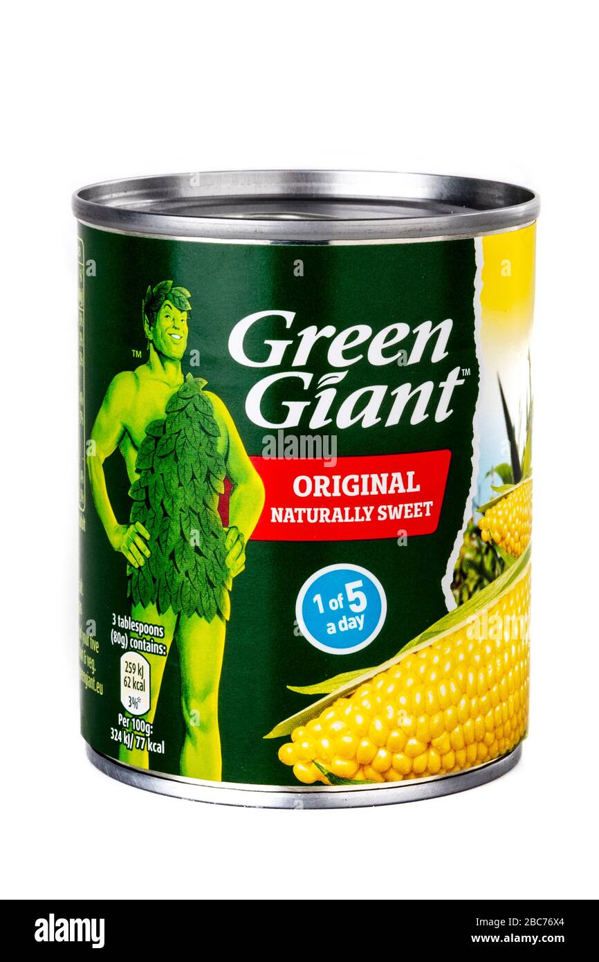 Grüner Riesensüßmais, Grüner Riese, Zuckermais, verzinntes Zuckermais, Zinn von Süßmais, Jolly Green Giant Sweetcorn, Süßmaiszinn, weißer Hintergrund, Stockfoto