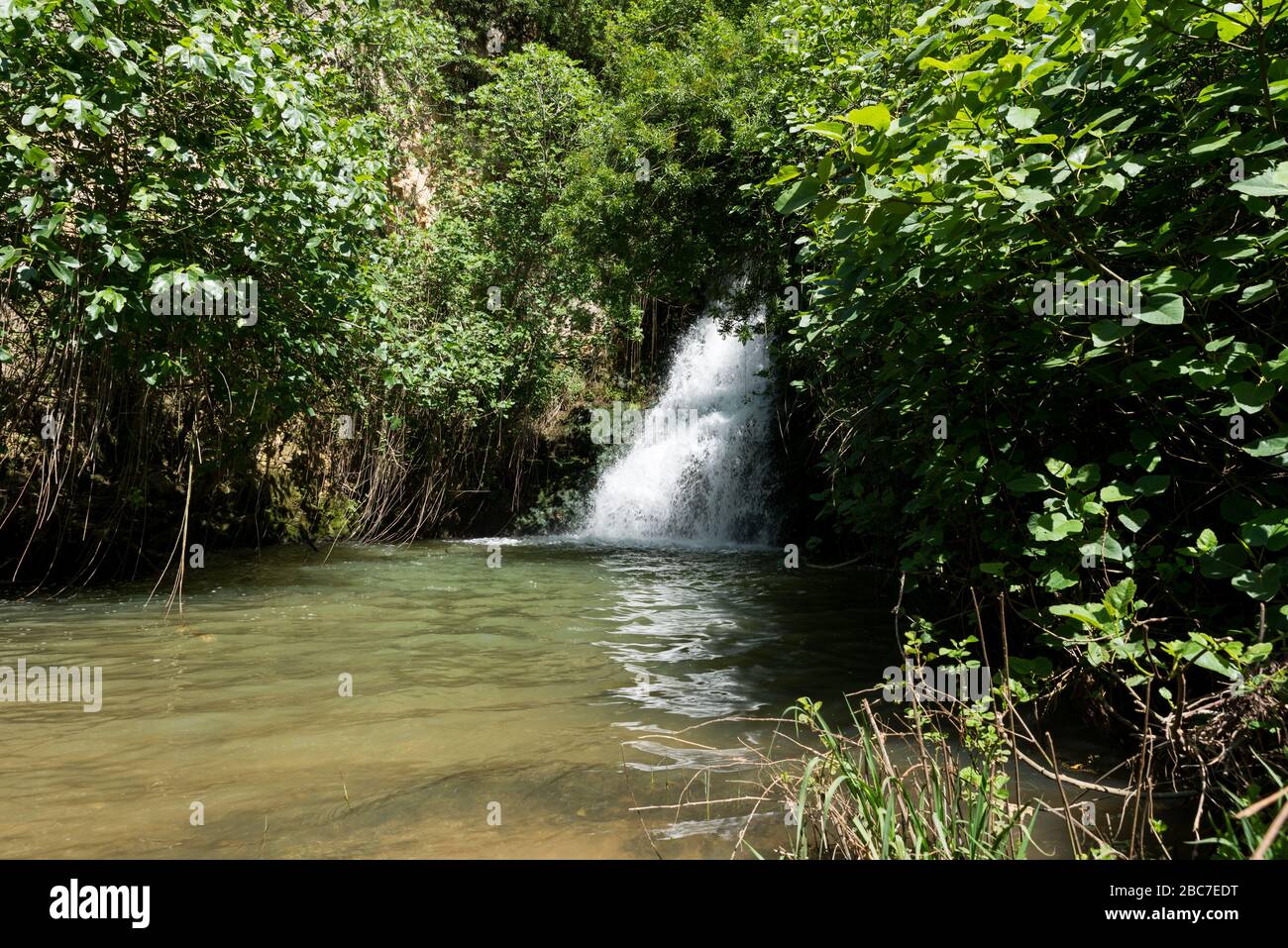 Ayun River Nature Reserve im Norden Israels Stockfoto