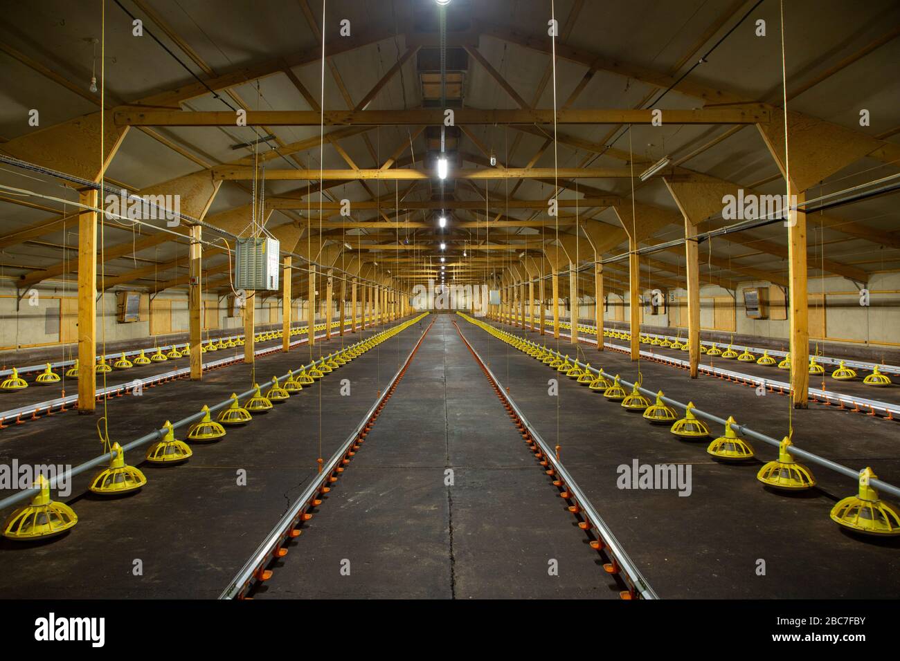 Innenansicht eines leeren industriellen Hühnerschuppen Stockfoto