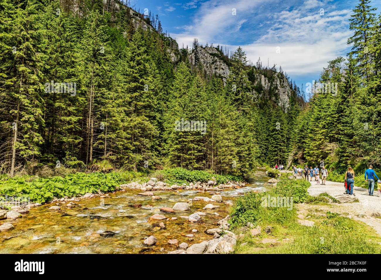 Menschen, die das Kościeliska Tal im Nationalpark Tatra, in der Nähe von Zakopane, Polen genießen. Juli 2017. Stockfoto