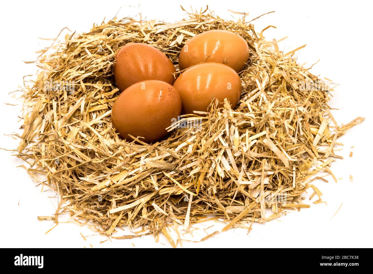 Eier auf einem Strohnest auf weißem Grund Stockfoto