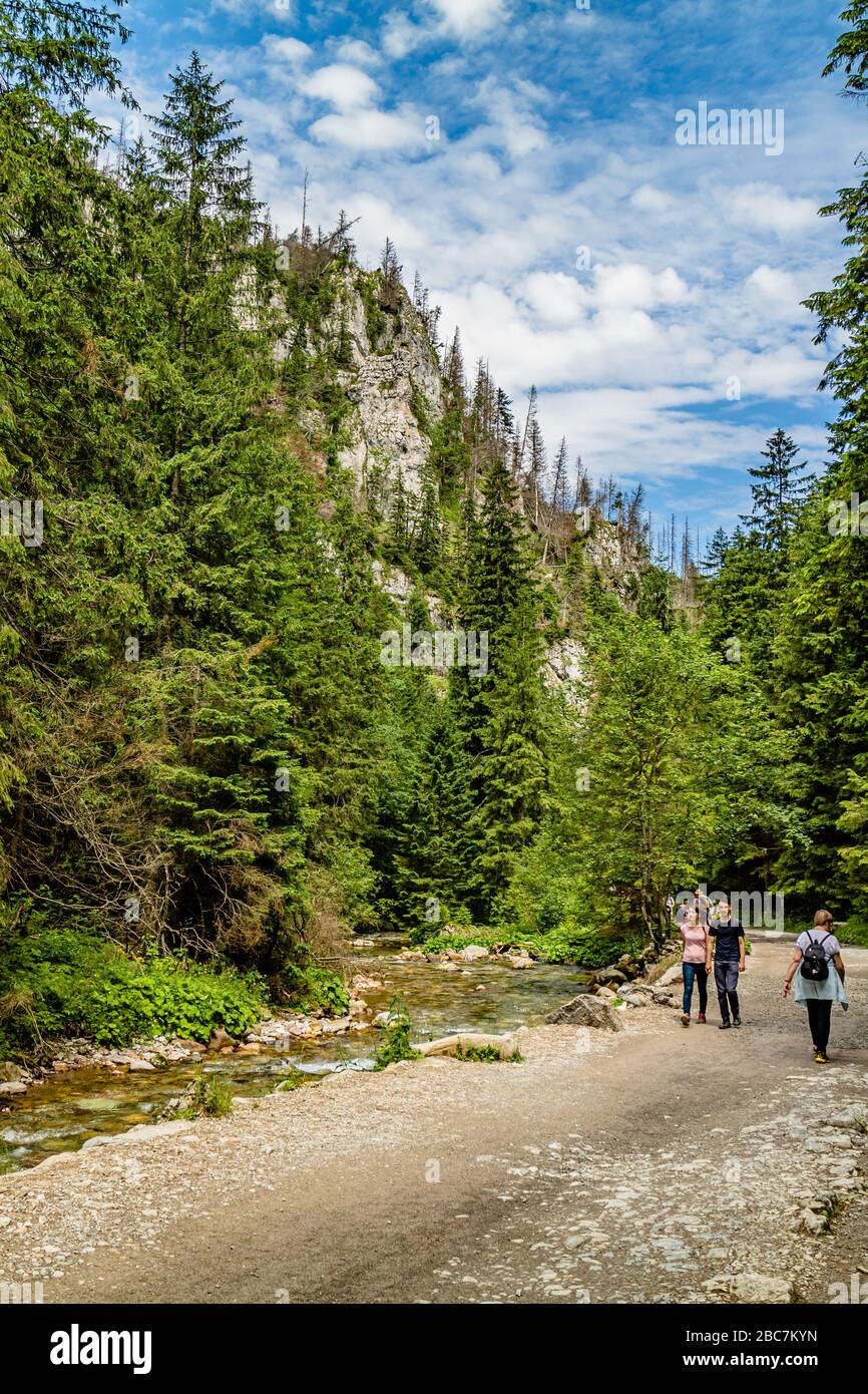 Wanderer im Kościeliska-Tal im Nationalpark Tatra, in der Nähe von Zakopane, Polen. Juli 2017. Stockfoto