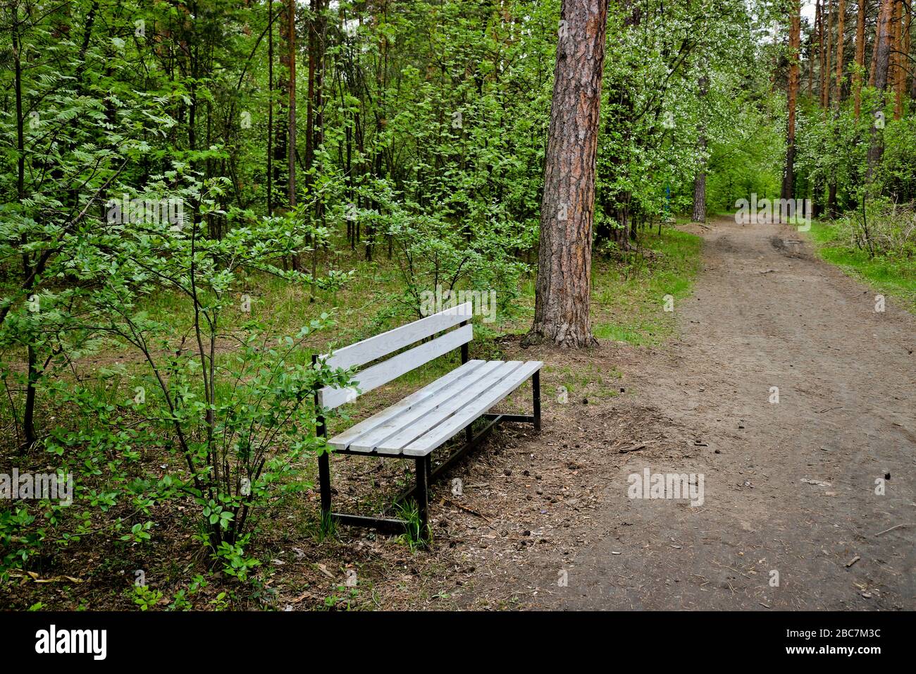 Holzbank am Waldweg im Park. Das Konzept der Waldwanderungen und Einsamkeit Stockfoto