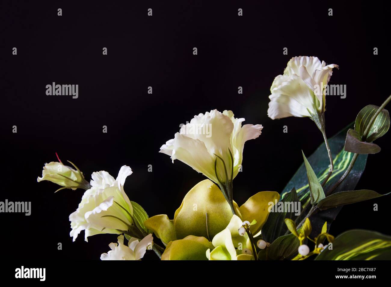 Künstliche, weiße Kunststoffblüten mit Blättern und schwarzem Hintergrund Stockfoto