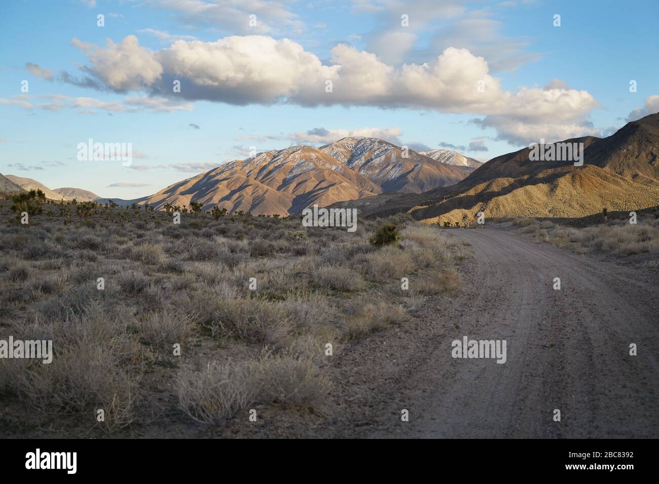 Eureka Valley Road, eine Backcountry Straße außerhalb des Death Valley National Park Stockfoto