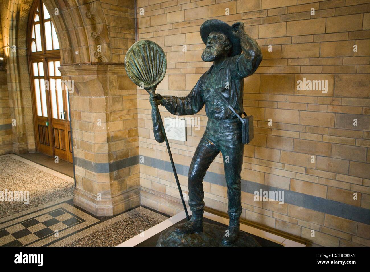 Statue von Alfred Russel Wallace (Mitentdecker der natürlichen Selektion) im Natural History Museum, London, Großbritannien. Stockfoto