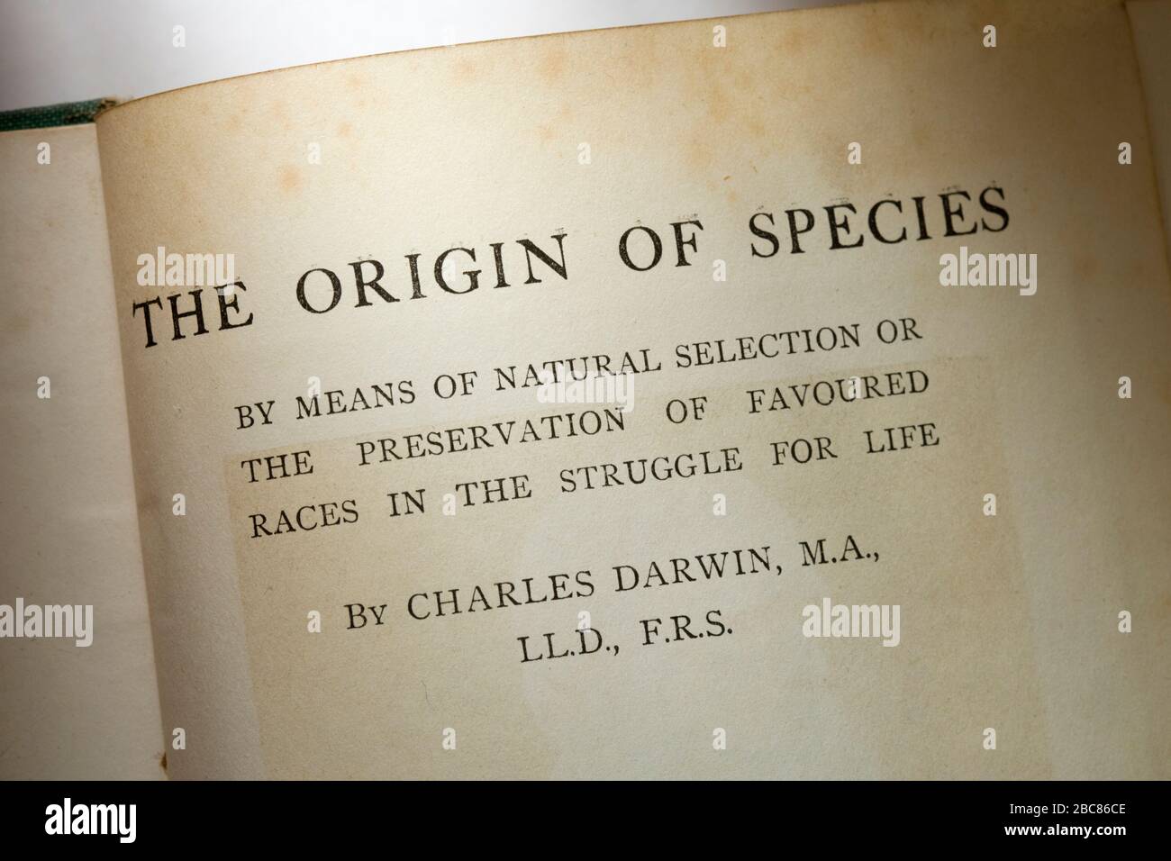 Herkunft der Arten von Charles Darwin. Titelseite Stockfoto