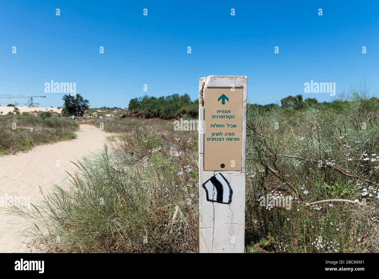 Wandern im Nahal Sorek in Israel Stockfoto