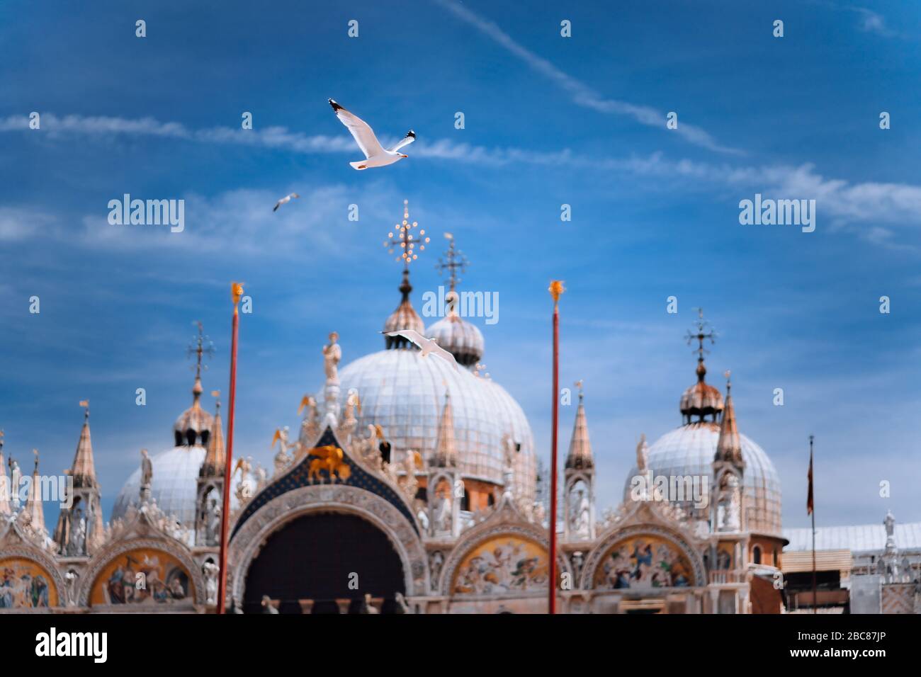 Piazza San Marco Markusplatz mit Basilica di San Marco. Dach Architektur Details mit fliegenden Möwe Vogel gegen den blauen Himmel in Venedig, Italien. Zu Stockfoto
