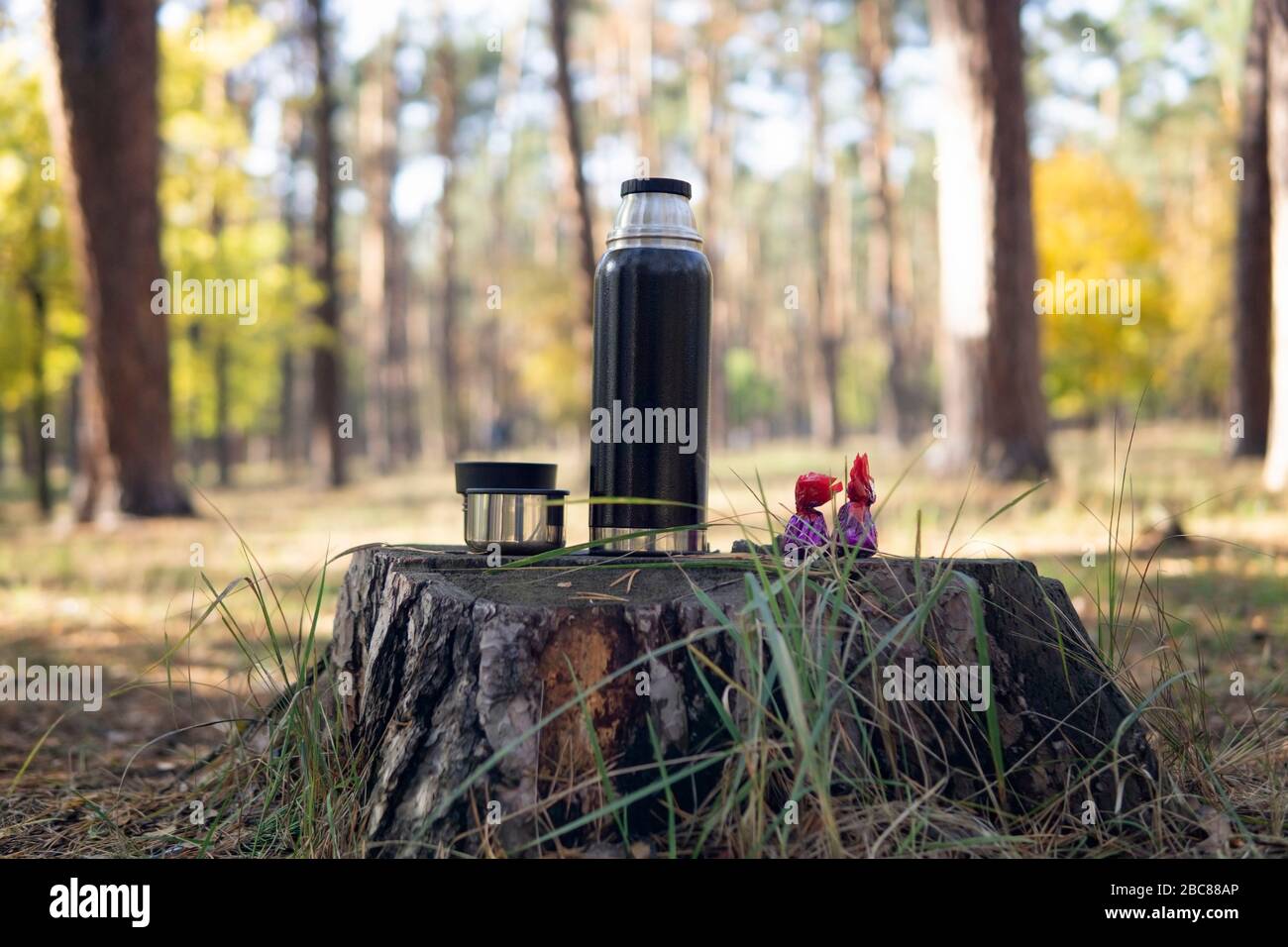 Thermosflasche mit einer Tasse Tee und zwei Süßigkeiten auf einem Stumpf. Picknick im Park an einem sonnigen Herbsttag Stockfoto