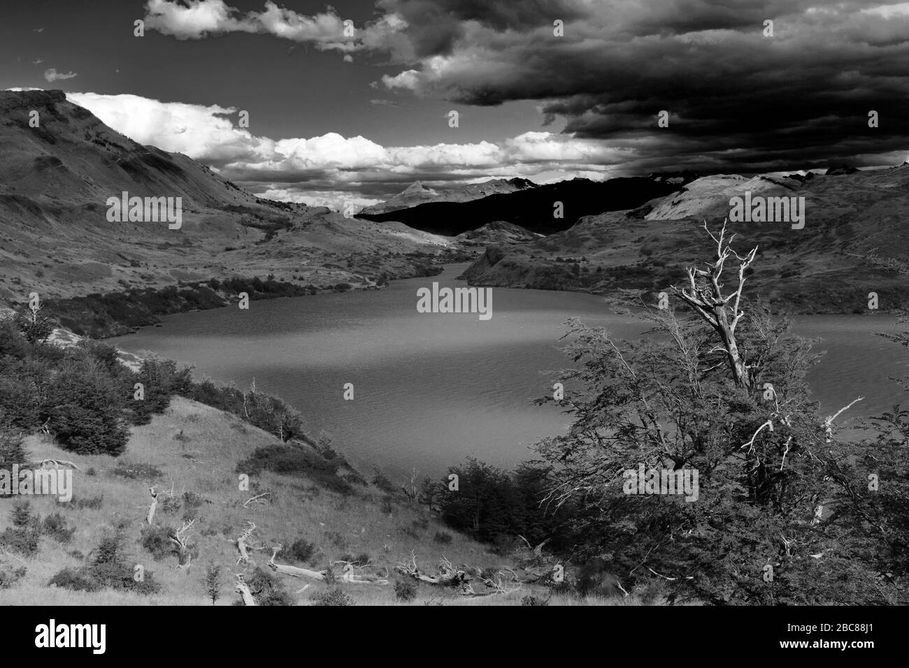 Sommeransicht von Lago Pehoe, Torres de Paine, Magallanes Region, Patagonien, Chile, Südamerika Stockfoto