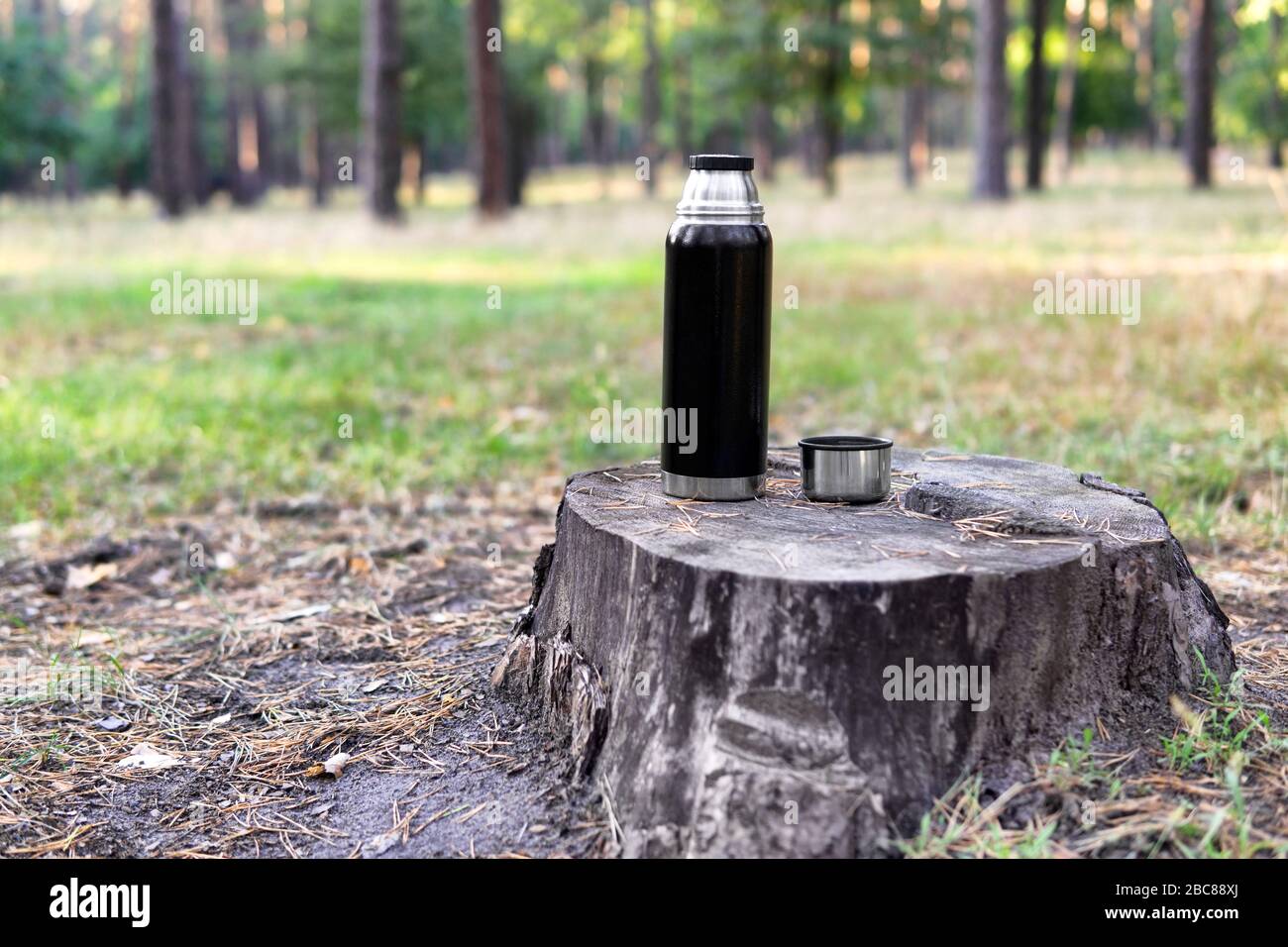 Schwarze Thermosflasche und eine Tasse auf einem Stumpf in einem Park im frühen Herbst. Stockfoto