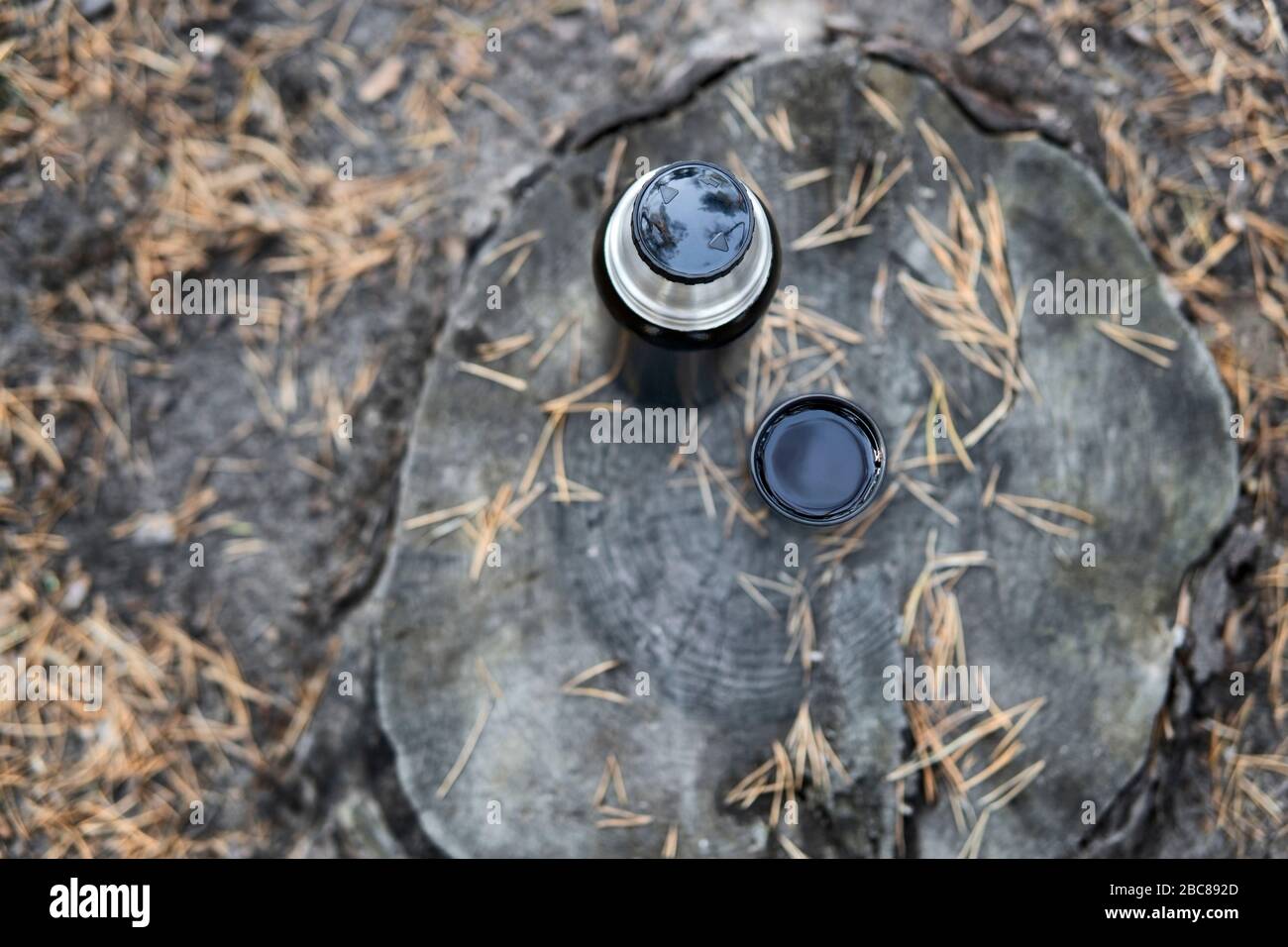Schwarze Thermosflasche und eine Tasse Tee stehen auf einem Stumpf umgeben von gefallenen Piniennadeln, Draufsicht. Picknick im Herbstpark. Stockfoto