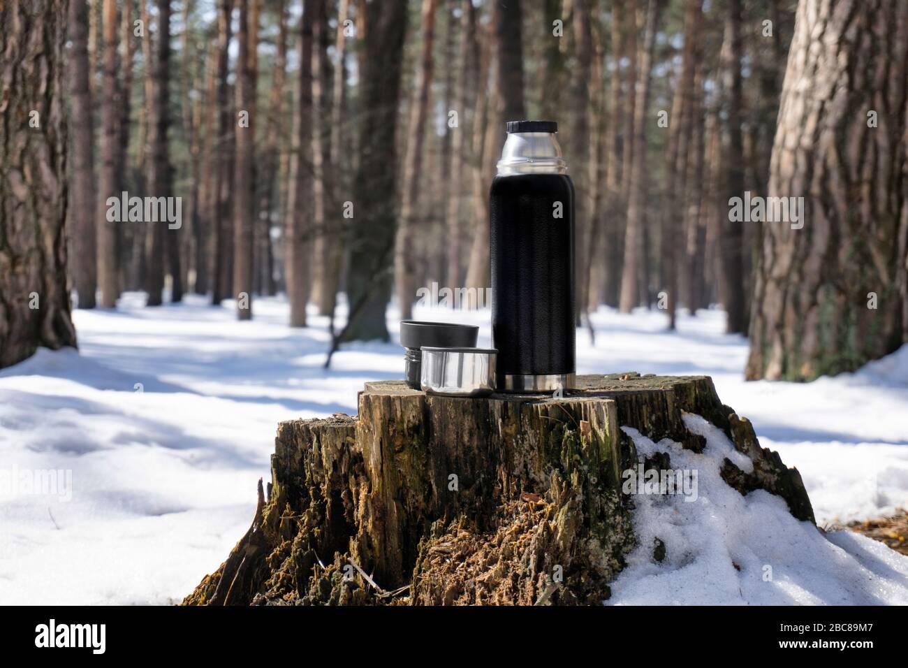 Schwarze und silberne Thermoskanne mit zwei Tassen, die im Winter auf einem Stumpf in einem verschneiten Wald stehen Stockfoto