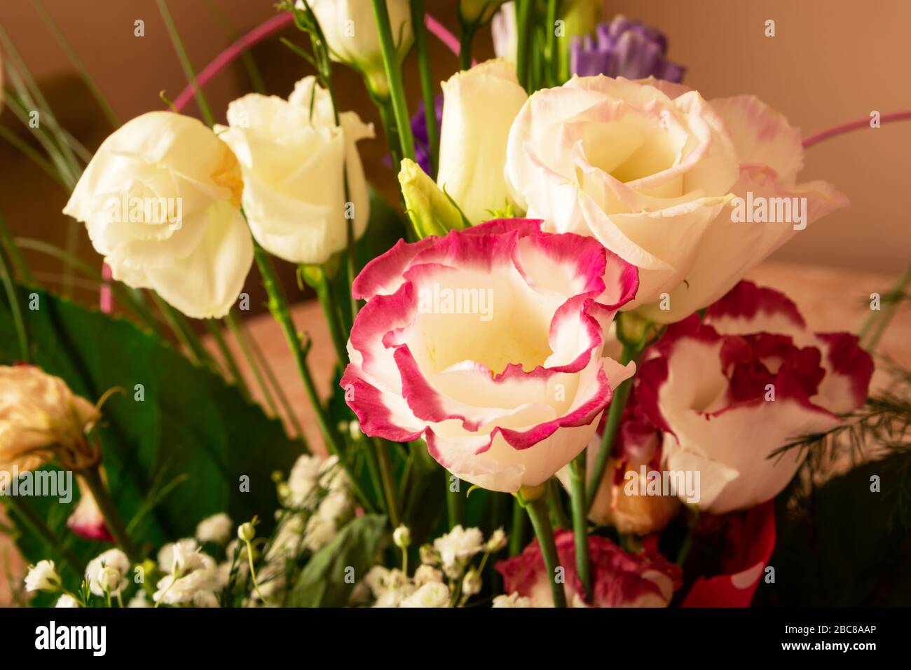 Blumenstrauß aus weißen und farbigen Rosen in Nahaufnahme, Blumenzusammensetzung Stockfoto