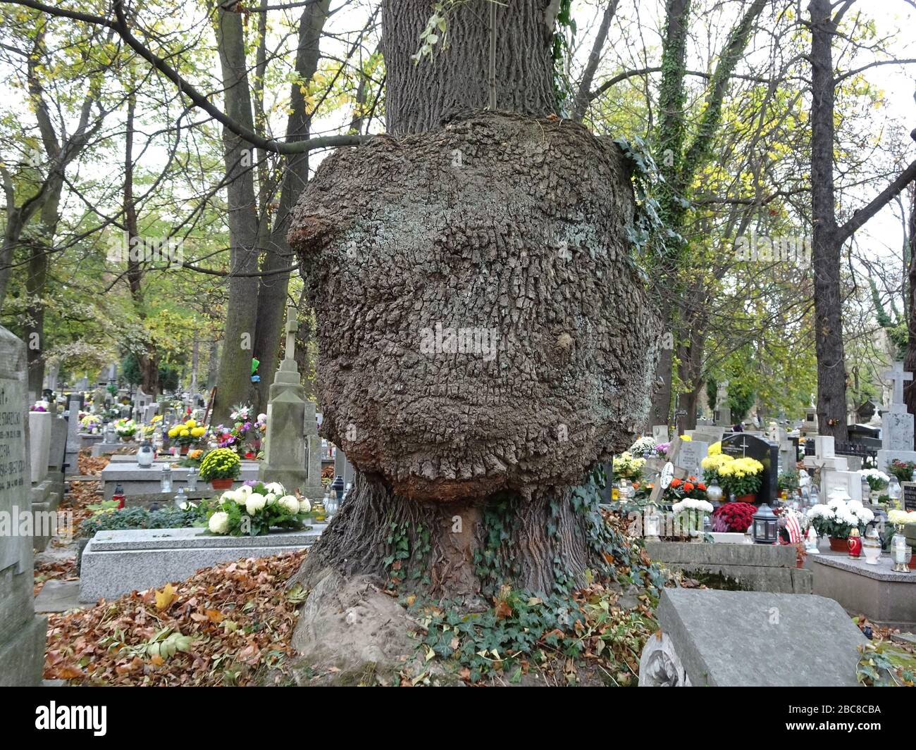 Rakowicki Friedhof in Krakow, Polen Stockfoto