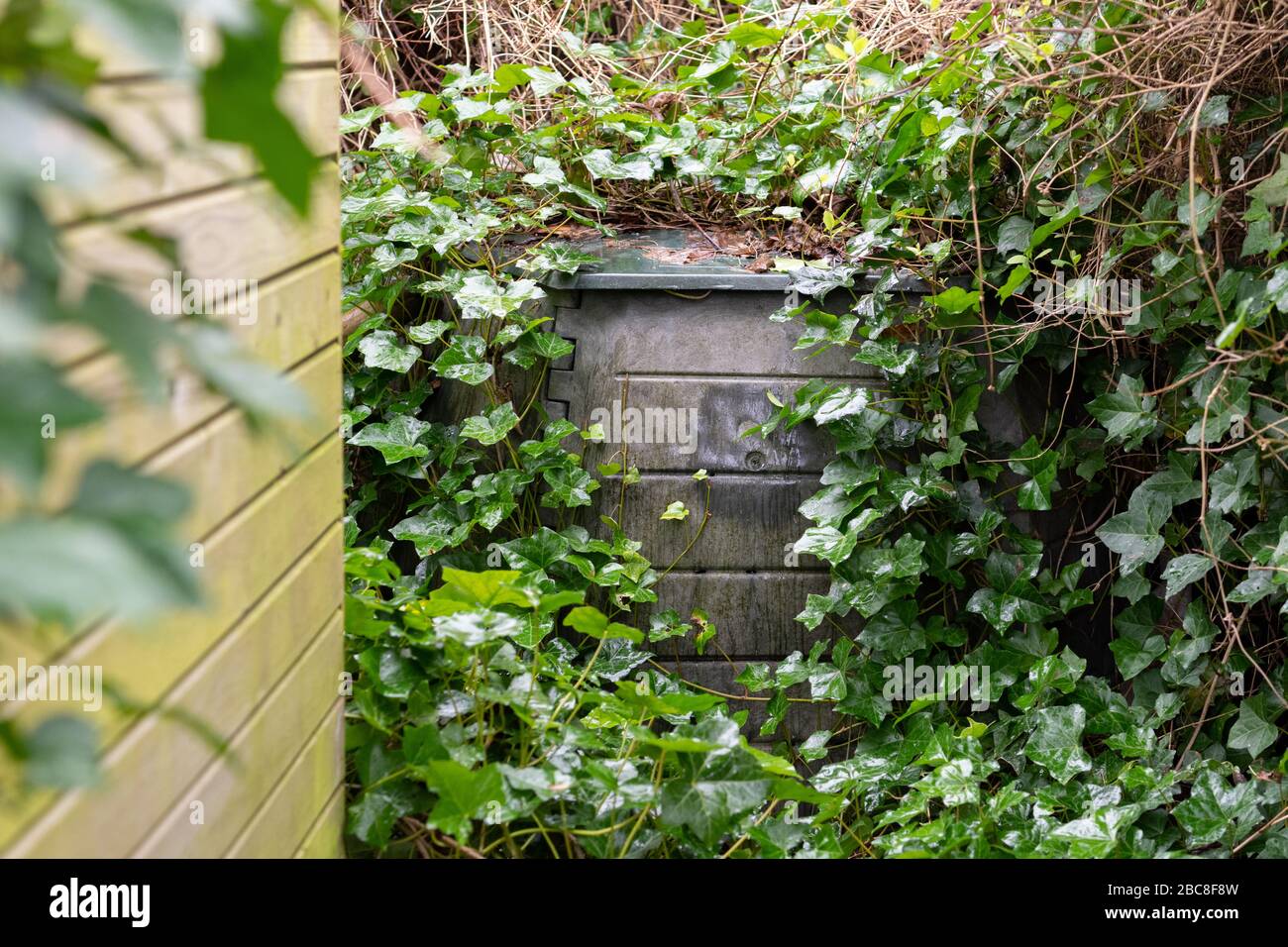 Verwahrloste überwucherte Mülltonne in schattiger Gartenecke hinter Schuppen Stockfoto