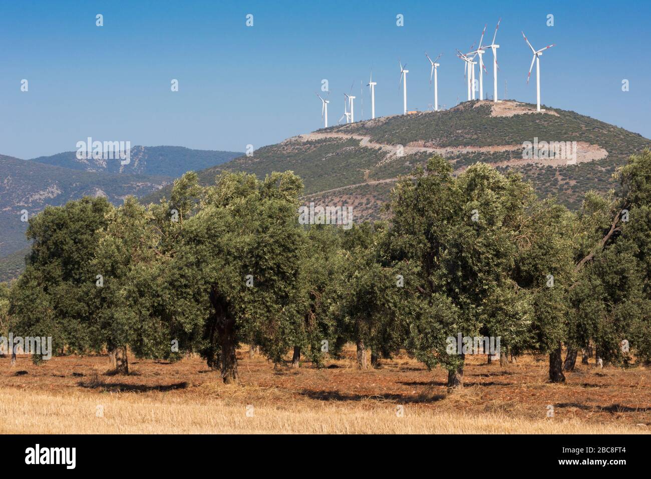 In der Nähe von Didim, Provinz Aydin, Türkei. Windgeneratoren. Stockfoto