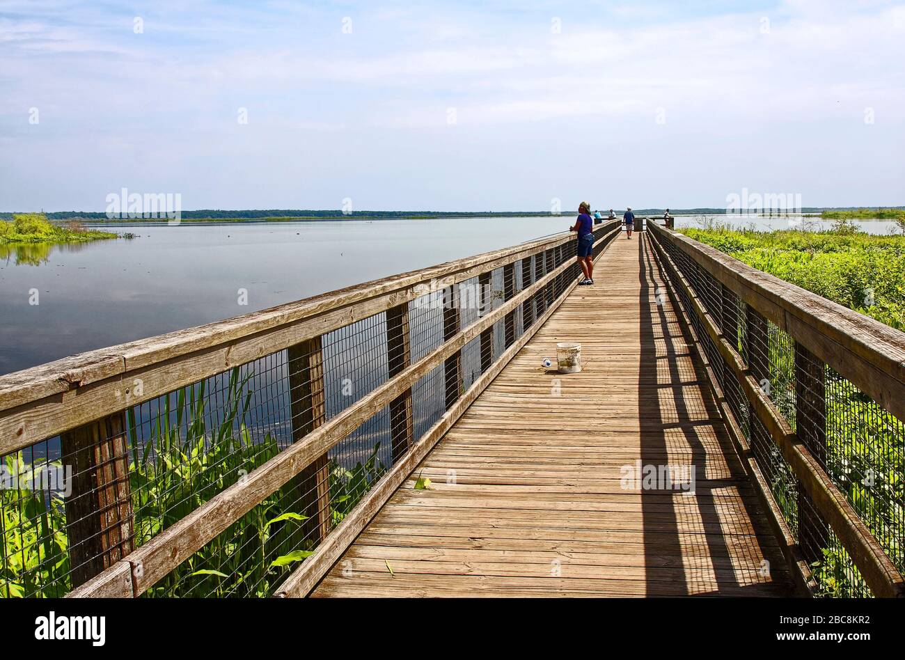 Holzsteg, über Wasser, Menschen, Wandern, Angeln, Vegetation, Freifläche, Natur, Geländer, Drahtgitter, Lake Wauberg, Paynes Prairie Preserve State Stockfoto