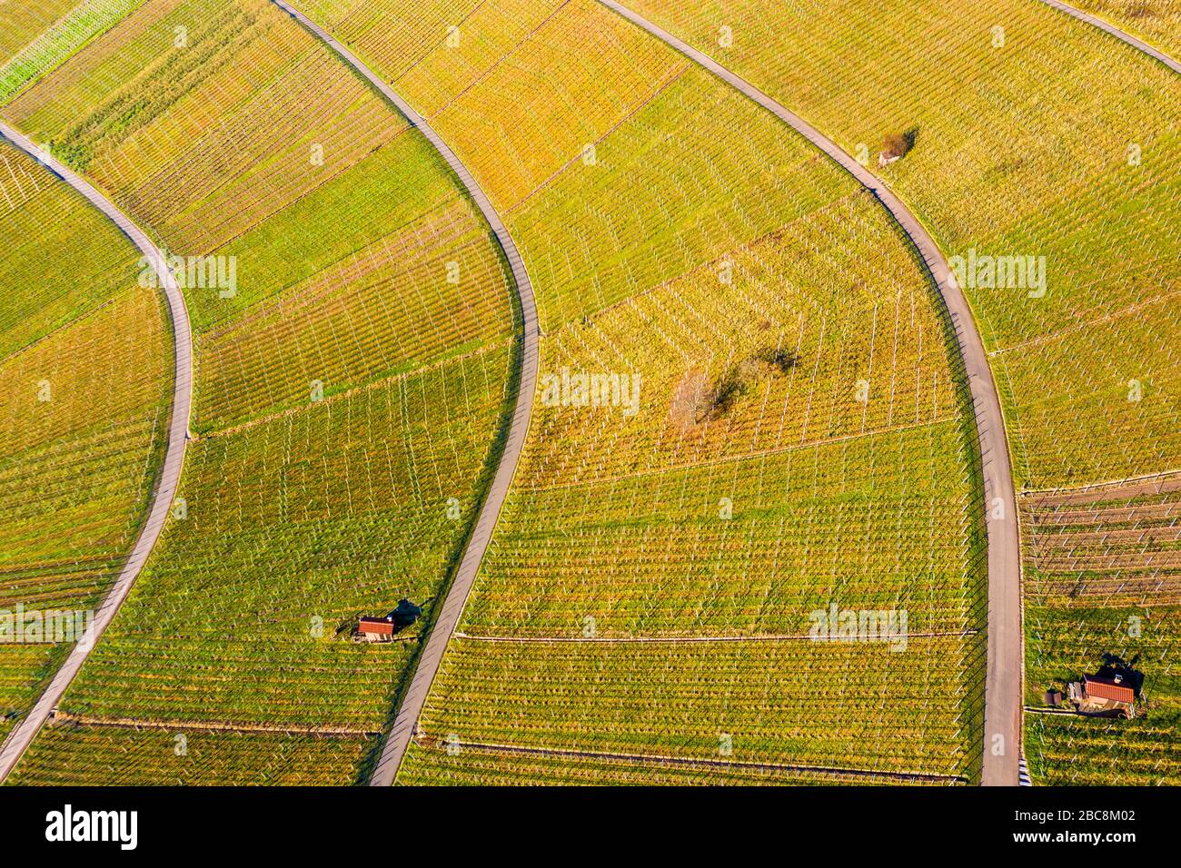 Drohnenschuss, Weinberge im Herbst, Korber Kopf, Remstal, Baden-Württemberg, Deutschland, Europa Stockfoto