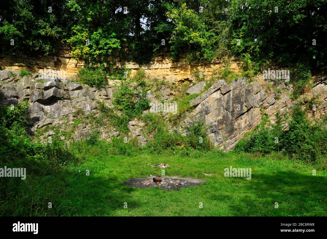 Die De la Beche Unkonformität in Vallis Vale, Somerset, zeigt horizontale Schichten von gelbem sedimentären Gestein - oolitischen Kalksteinen - auf TI ruhen Stockfoto